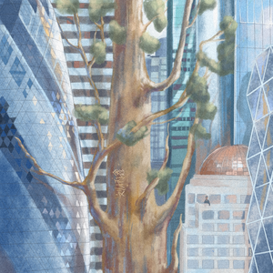 久久网日韩中文字幕
