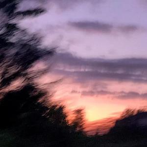 久久网日韩中文字幕
